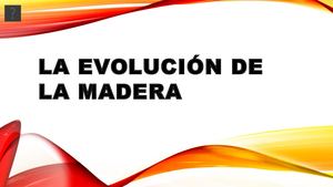 La Evolución De La Madera