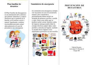 Prevenciondesastres8 (1)