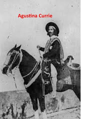 Literatura Gauchesca Libro