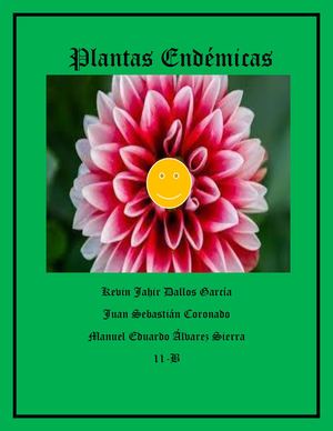 Revista Completa Dallos Alvarez Y Coronado