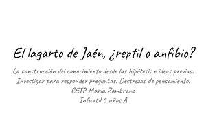 El Lagarto De Jaén, ¿Reptil O Anfibio