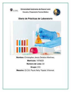 Diario De Prácticas Del Laboratorio