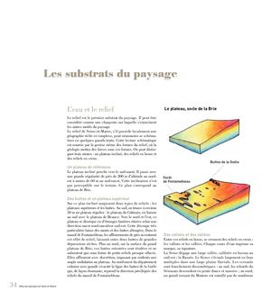 Les substrats du paysage