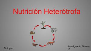 Nutrición Heterótrofa.