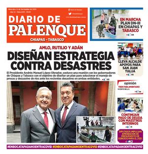 Diario 11/11/2020