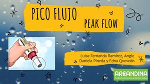 Pico Flujo