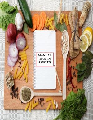 Manual De Cortes 4