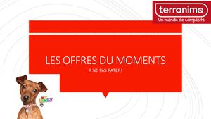Les Offres Du Moments