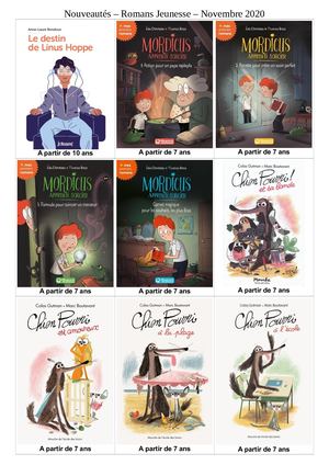 Nouveautés - Novembre 2020 – Romans Jeunesse