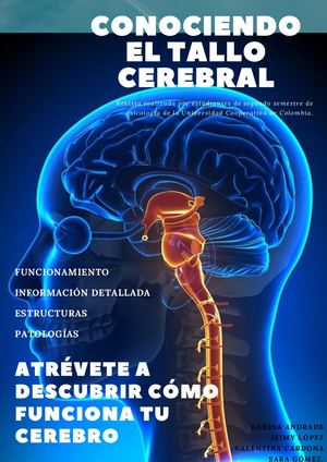 Revista Tallo Cerebral