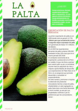 Boletín Infortivo ( Comercio Extrangero La Palta)