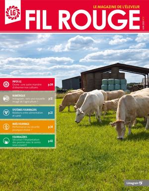 FIL ROUGE N°27 - JUIN 2020