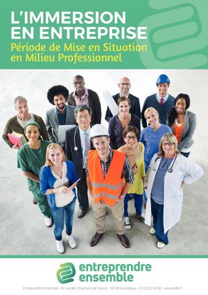 IMMERSION EN ENTREPRISE