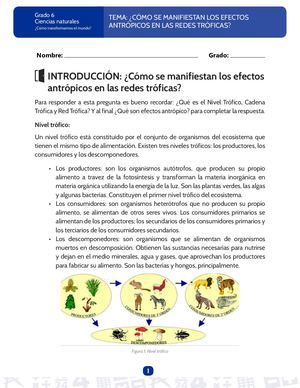 Taller I Ed Ambiental 6°