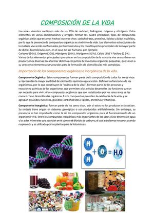 Composición De La Vida