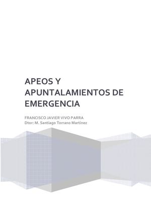 Apeos Y Apuntalamientos De Emergencia