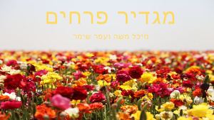 מגדרים פרחים