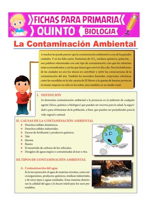 La Contaminación Ambiental Para Quinto De Primaria