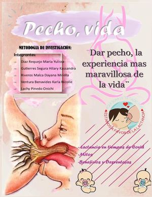 Boletín Informativo de la Lactancia Materna