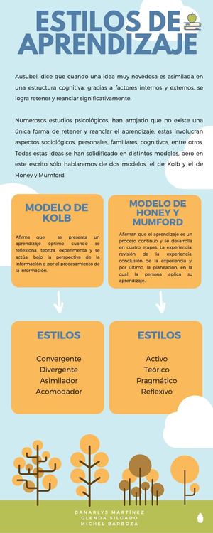 Infografía Estilos De Aprendizaje (Danarlys,glenda,michel)