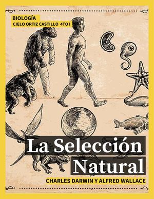 Selección Natural Catálogo