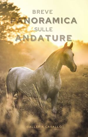 Andature Passo Trotto Galoppo