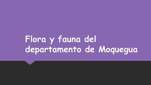 Flora Y Fauna Del Departamento De Moquegua Z