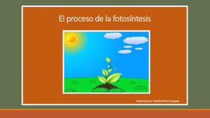 Presentación Fotosíntesis