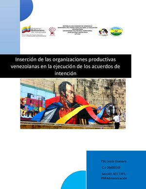Inserción de las organizaciones productivas venezolanas en la ejecución de los acuerdos de intención