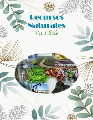 Revista Recursos Naturales en Chile