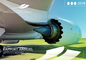 Rapport Activite 2018 Samac