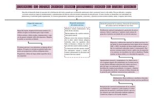 Angie Mero Mapa Conceptual #7