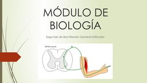 2do Bgu Q1p1m5 Biología Tejidos Animales