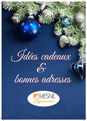Catalogue Mesnil Dynamic