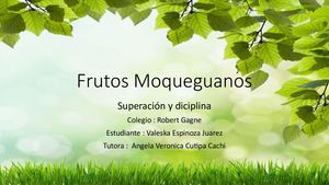 Frutos de moquegua