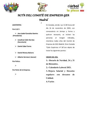 Acta Reunión Comité 16 11 20