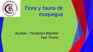 Flora Y Fauna De Moquegua