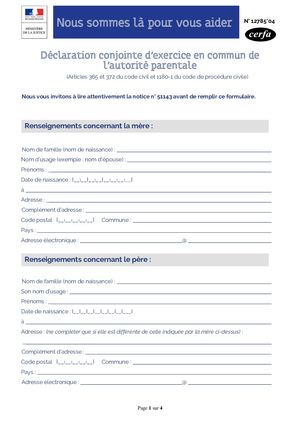 Déclaration Conjointe D’exercice En Commun De L'autorité Parentale
