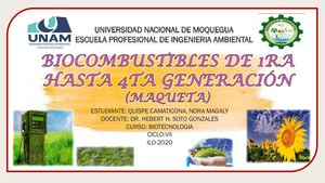 Biocumbustibles De 1era Hasta 4ta Generacion (Maqueta)