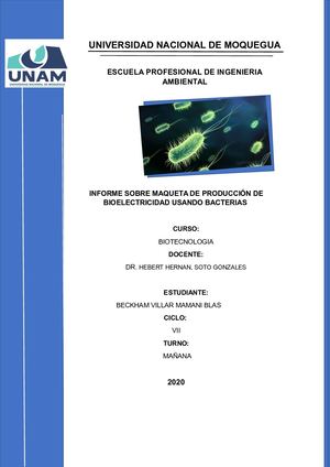 Informe Sobre La Maqueta De Producción De Bioelectricidad Usando Bacterias