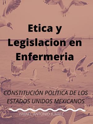 CONSTITUCION POLITICA MEXICANOS
