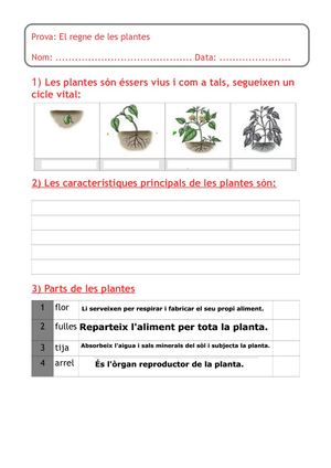 Prova Les Plantes Sisè.