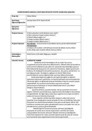 Hamdi̇ Bozbağ Anadolu Li̇sesi̇ 4006 Projeleri̇ Poster Hazirlama ŞAblonu
