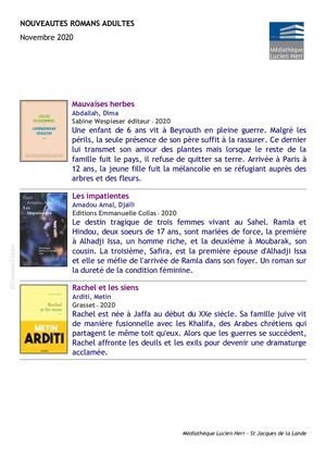 Nouveautés romans novembre 2020