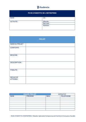 Fiche Projet D'entreprise