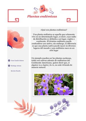 Revista Informatica Jaimes Y Arenas