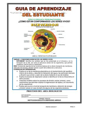 Guia De Naturales 6
