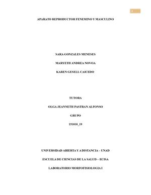 Aparato Reproductor Fenemino Y Masculino