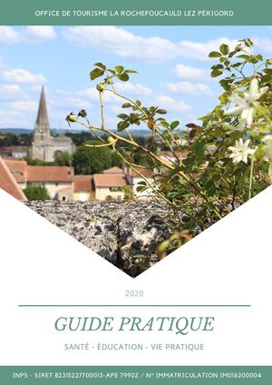 Guide Pratique 2020