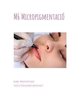Treball Micropigmentació